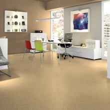 Tarkett Vinyl Flooring